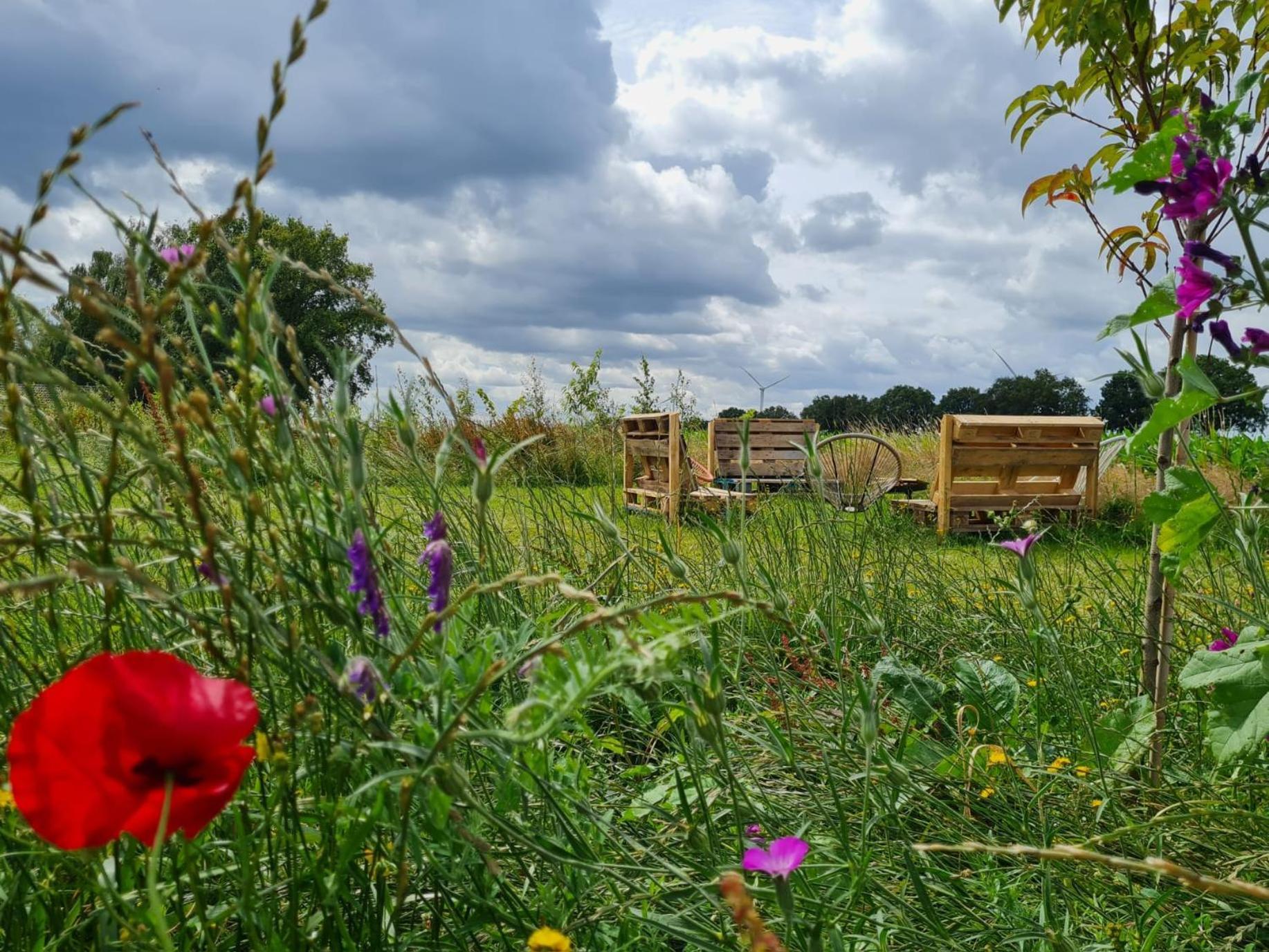 Bell Tent In Een Voedselbos Nederweert-Eind Exterior foto